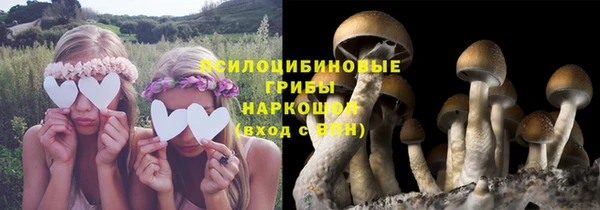 ешки Алзамай