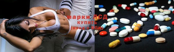 мяу мяу мука Алексеевка