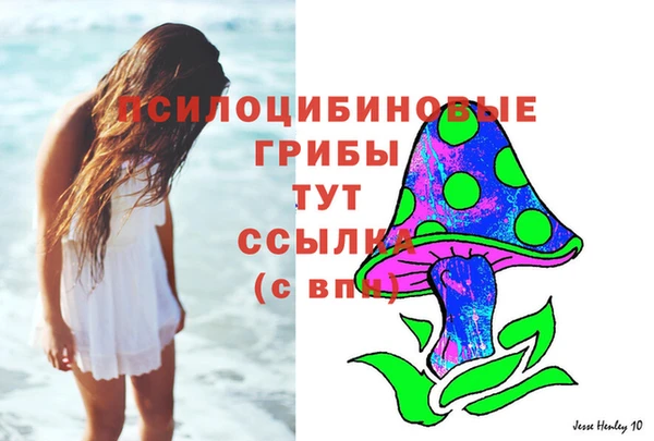 ешки Алзамай