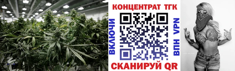 продажа наркотиков  мега маркетплейс  Дистиллят ТГК Wax  Чайковский 